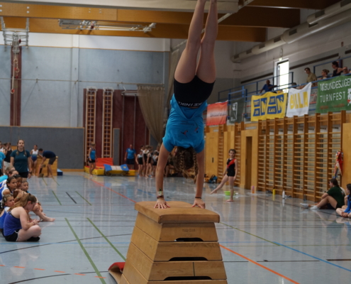 Fotogalerie TF Mödling